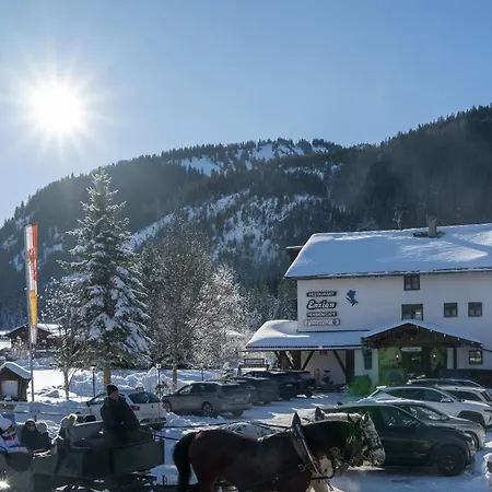 ゲストハウス Restaurant Pizzeria Enzian - Sommerbergbahnen Inklusive タンハイム