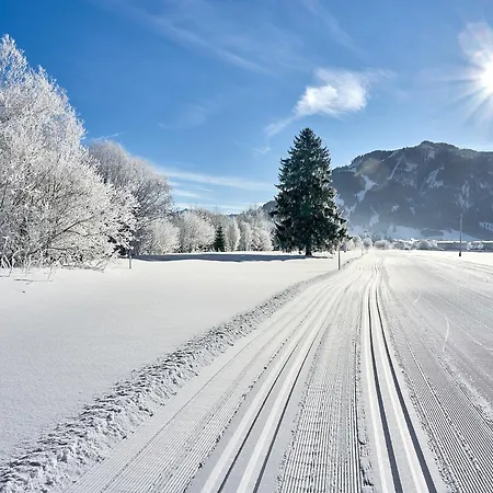 Restaurant Pizzeria Enzian - Sommerbergbahnen Inklusive Tannheim